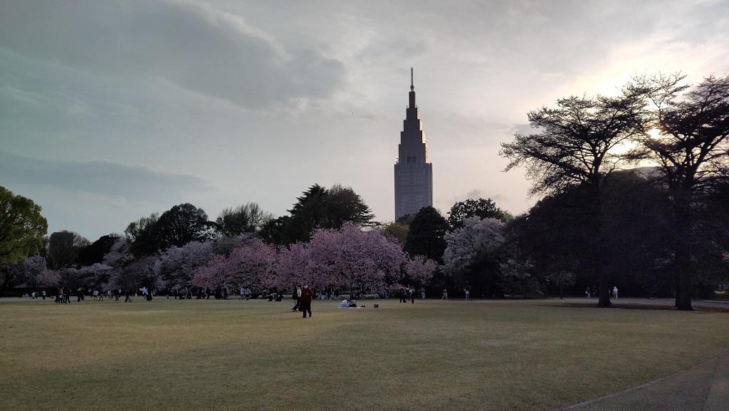 Image rb_sakura_2025-04-13-shinjukugyouen06.jpeg